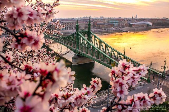 River Dinner Cruise Spring Budapest