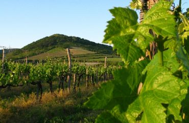 tokaj