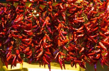 Paprika, a symbol of Hungary Paprika, a symbol of Hungary