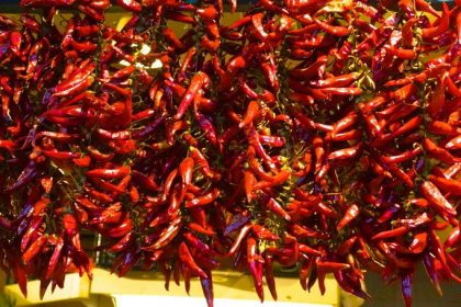 Paprika, a symbol of Hungary Paprika, a symbol of Hungary