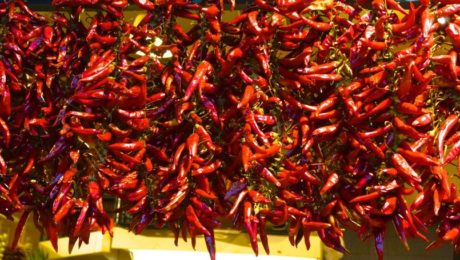 Paprika, a symbol of Hungary Paprika, a symbol of Hungary