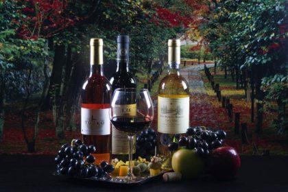 The big picture of wine in Hungarian The big picture of wine in Hungarian