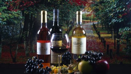 The big picture of wine in Hungarian The big picture of wine in Hungarian