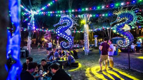 Budapest Sziget festival 2019 Budapest Sziget festival 2019